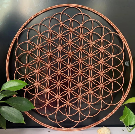 Flower of Life Tensor Ring Combine With 7 Chakra Crystals