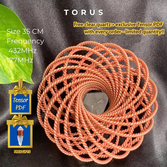 Tensor Torus Medium Size